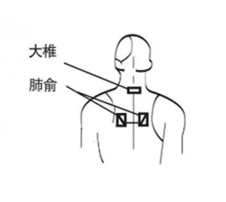 穴位图2(1).jpg