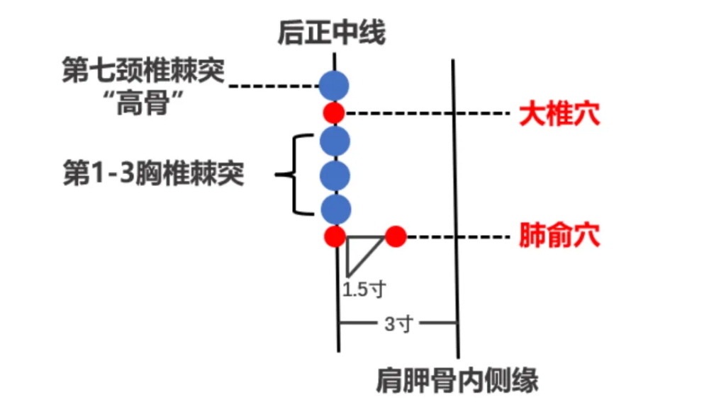 穴位图3(1).jpg